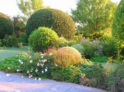 Mantenimiento de jardn privado, Hondarribia